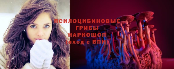 стафф Вяземский