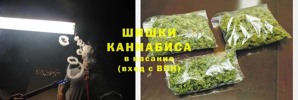 СК Вязьма
