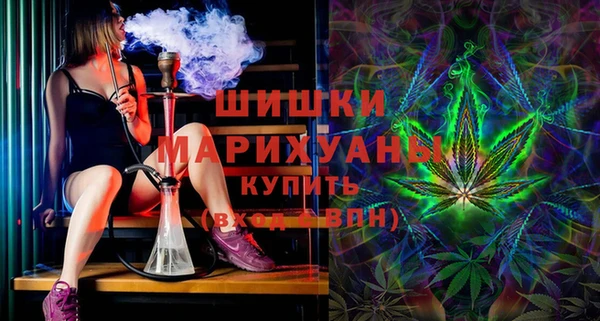 СК Вязьма
