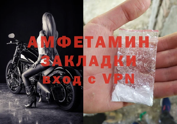 стафф Вяземский