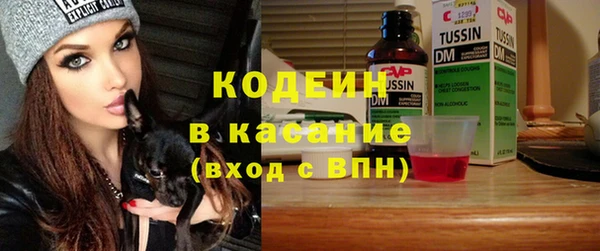 СК Вязьма