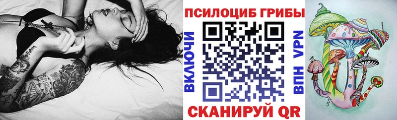 Купить где  Окуловка  Галлюциногенные грибы GOLDEN TEACHER 